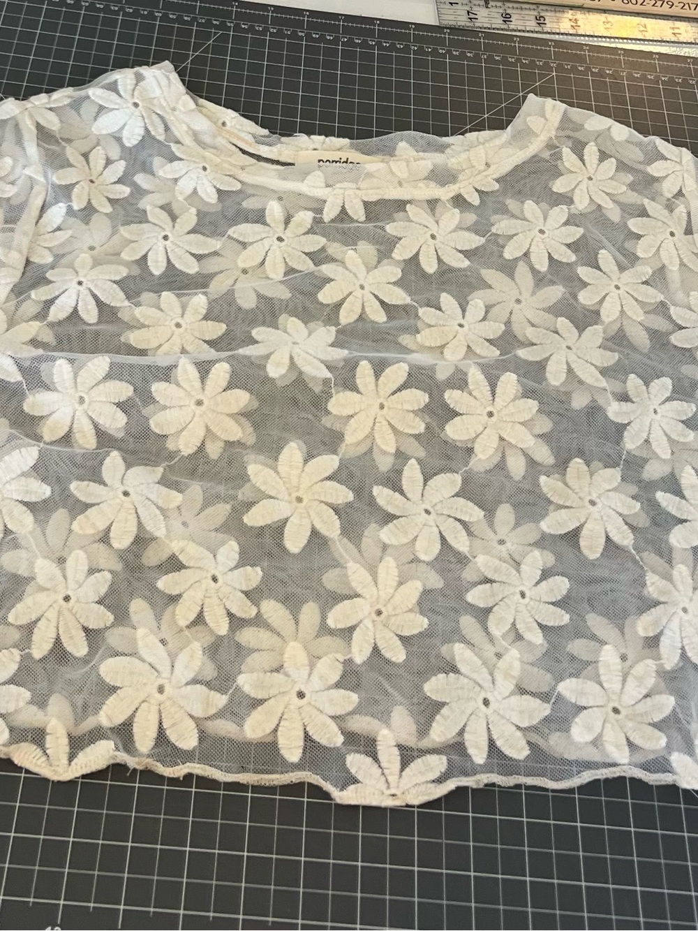 Daisy sheer cropped tee with embroidery size 2X (runs small) see measurements - Picture 12 of 12